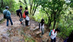 The group hiked along the Wu Kau Tang trails, and observed the natural environment of the area. 師生沿烏蛟騰行山徑遠足，沿途互相扶持，同時體會區內的自然環境。