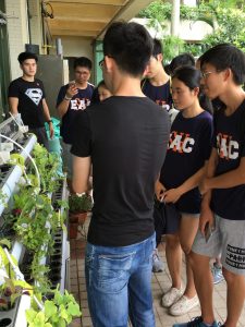 Students learning the aquaponics system in EdUHK. 同學們學習香港教育大學的魚菜共生設施。