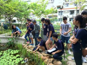 The EdUHK team introducing different types of plants and the ecosystem facilities in the eco-garden to SHEAC delegation. 香港教育大學的團隊向書院導師和同學們介紹生態園的各種植物和生態系統設施。 