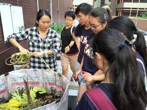 Students learning the process of composting utilizing coffee grounds and kitchen waste collected from cafes and restaurants on campus. 同學們學習利用從校園的咖啡館和餐廳回收得來的咖啡渣和廚餘進行的堆肥過程。 